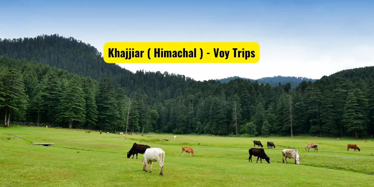 Best Time To Visit In Khajjiar