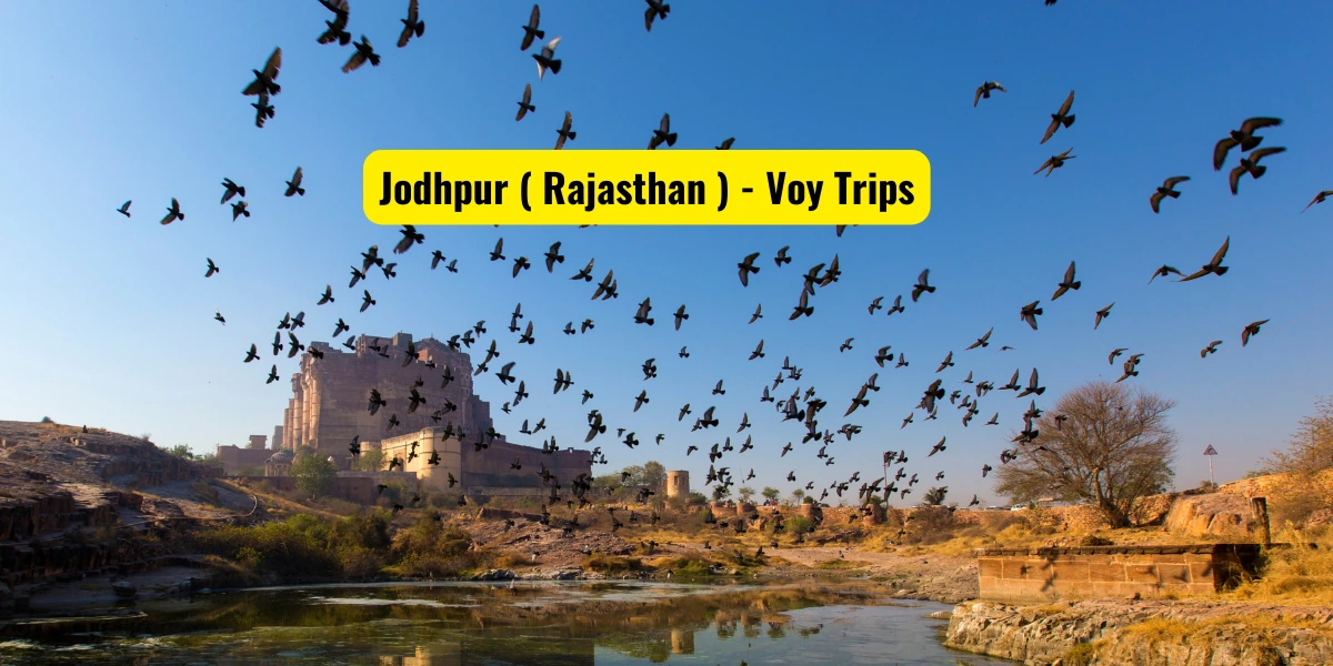  Best Time To Visit In Jodhpur