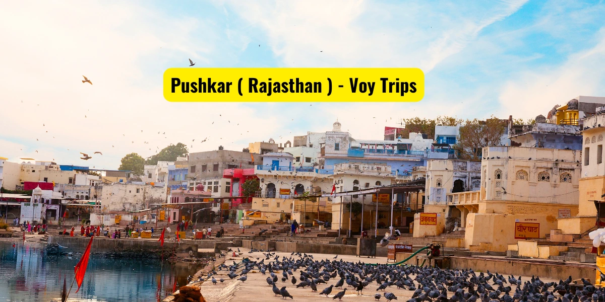  Best Time To Visit In Pushkar