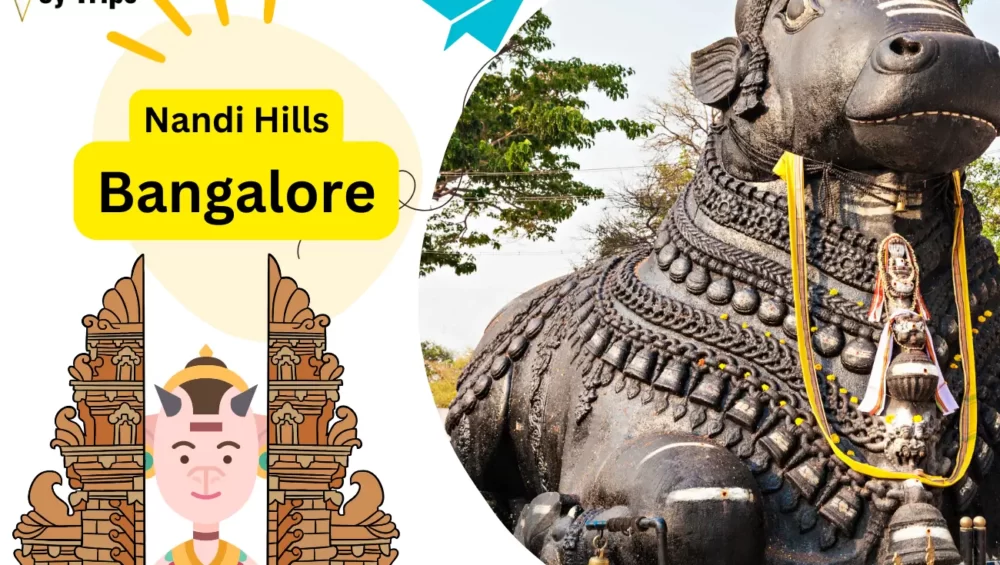 Top Things To Do In Bangalore India